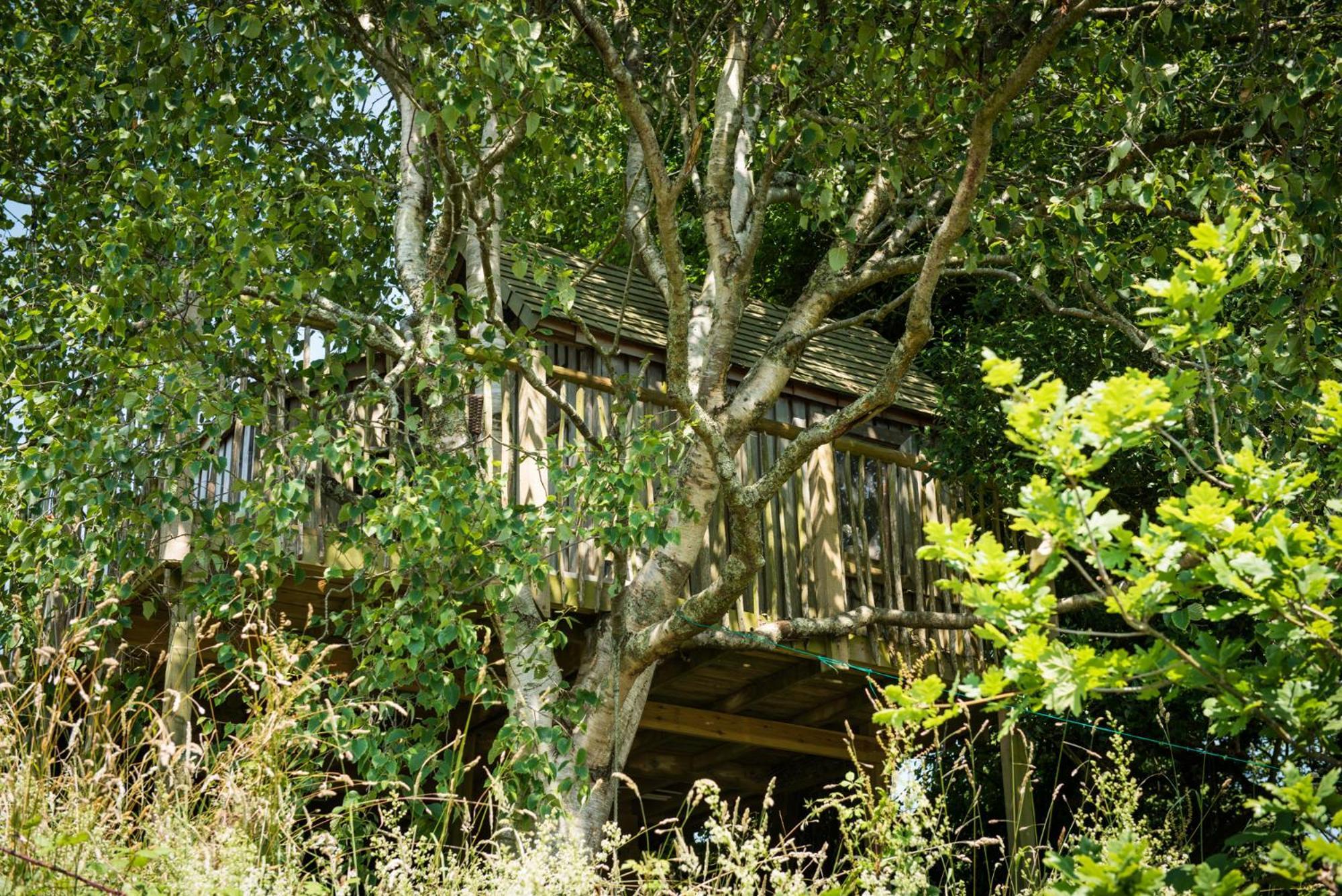 The Treehouse At Salcombe Farm Vila Exterior foto